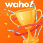 Waho Pro App Download Apk Latest Version 2024